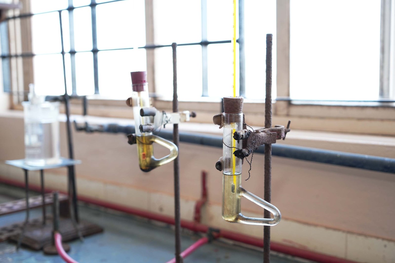 Imagen editorial de un laboratorio de SciClue